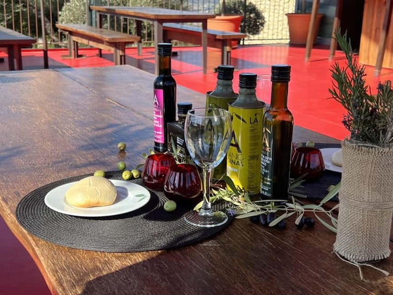 Ronda: LA Almazara LA Organic, Olive Oil Museum and Tasting - Arriving at LA Organic Country House