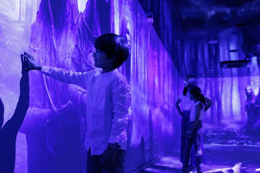 Rouen : Museum Immersive Viking Experience - Scandinavian culture, crafts, and mythology