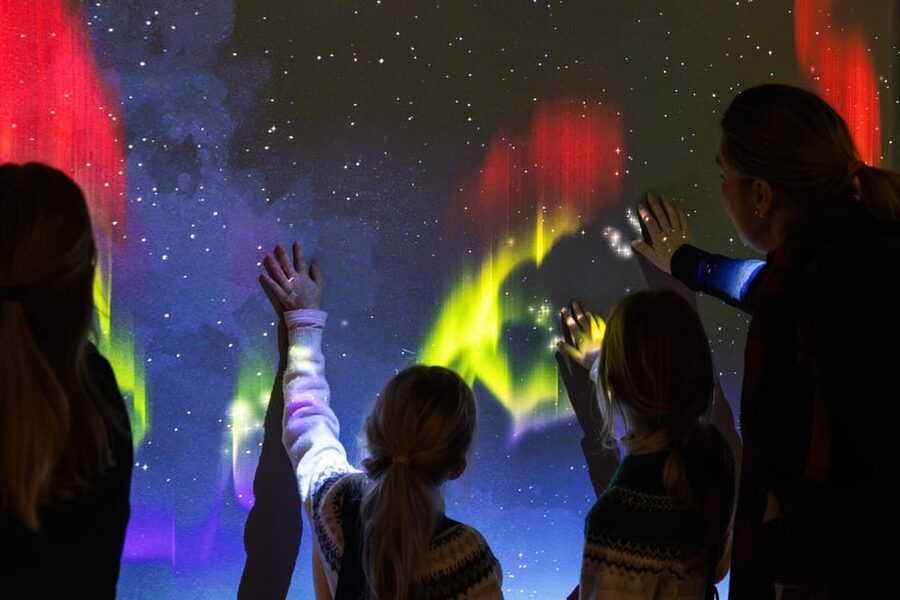 Rovaniemi: Arktikum Science Centre and Museum Entry Ticket - Arctic nature, animals, and changing seasons