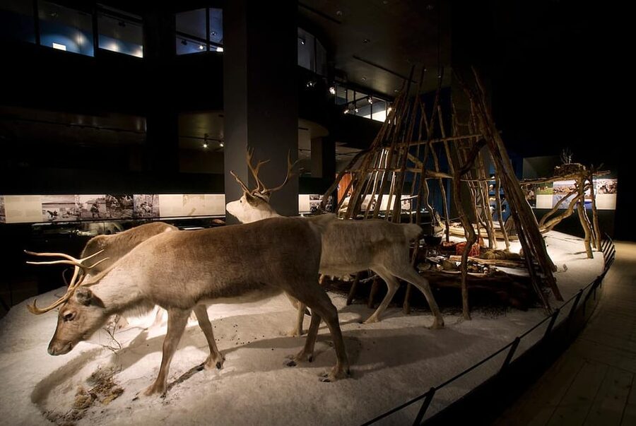 Rovaniemi: Arktikum Science Centre and Museum Entry Ticket - Northern Lights science without the hype