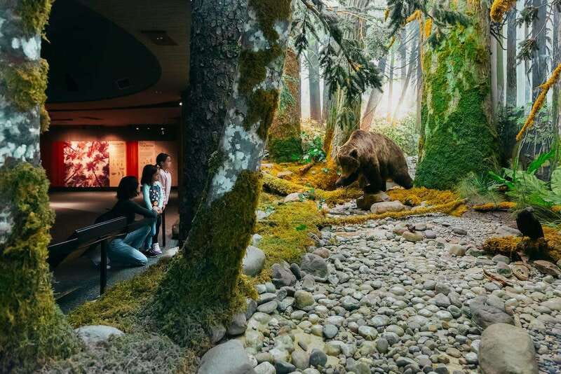 Royal B.C. Museum in Victoria: Full-Day Admission Ticket - Jonathan Hunt House and the story of language