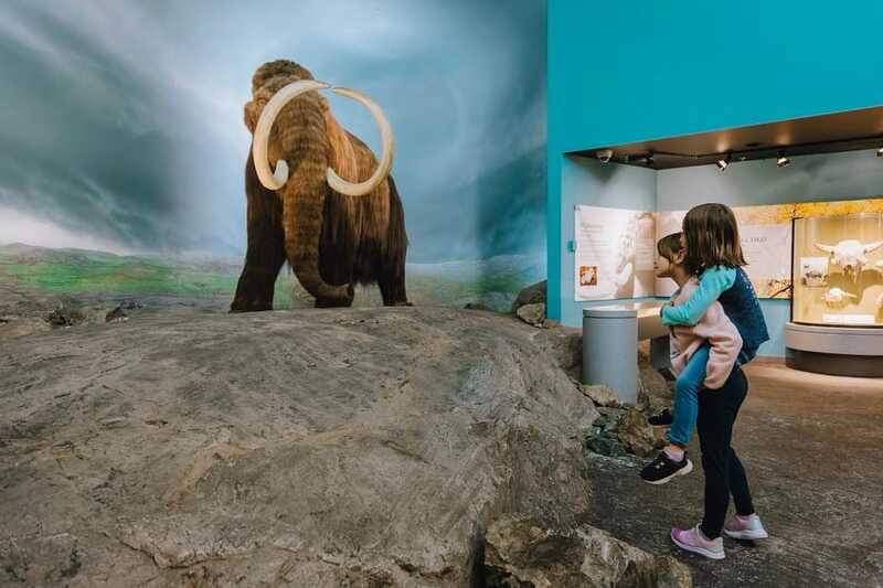 Royal B.C. Museum in Victoria: Full-Day Admission Ticket - Coastal rainforest, animals, and the tidepool