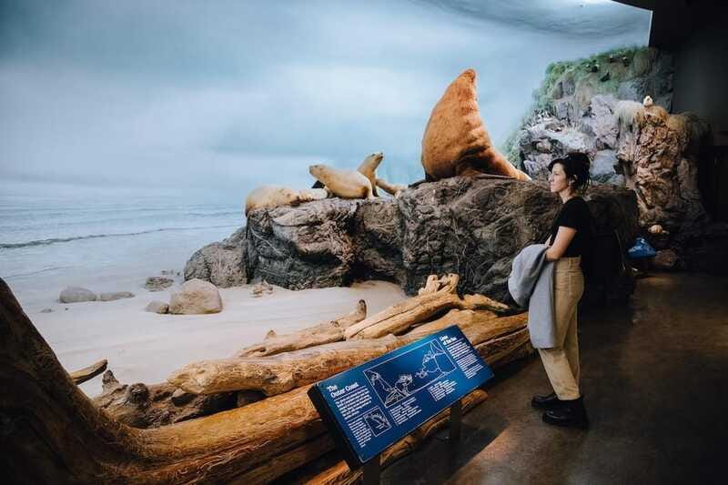 Royal B.C. Museum in Victoria: Full-Day Admission Ticket - Outdoor sites that give you breathing room