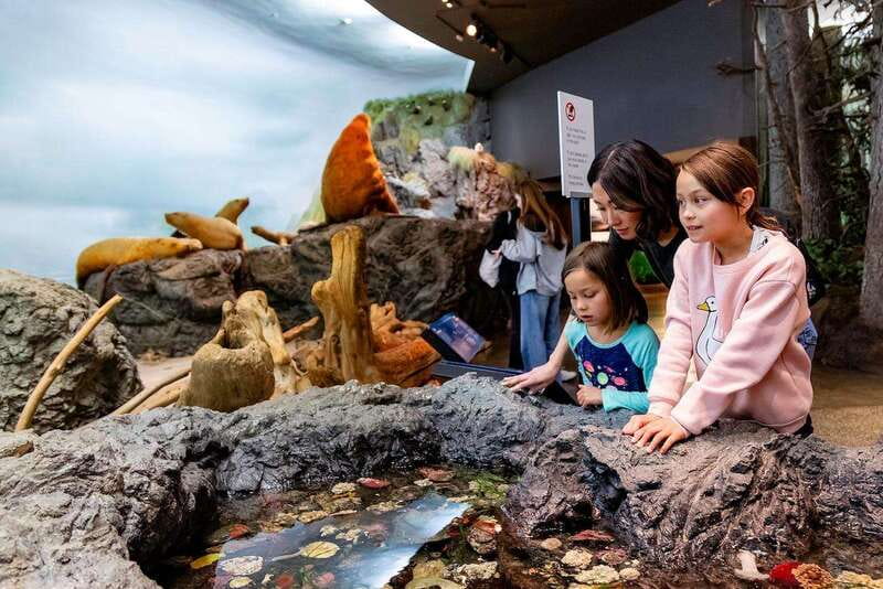 Royal B.C. Museum in Victoria: Full-Day Admission Ticket - Global Threads and Beyond the Beat