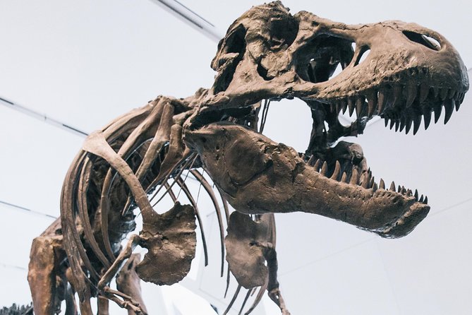 Royal Ontario Museum Admission - Why the ROM is worth setting aside half a day