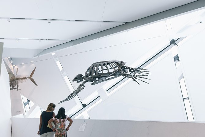 Royal Ontario Museum Admission - Ancient Egypt, Rome, and objects from around the world