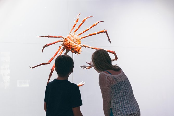 Royal Ontario Museum Admission - Earth, wild cats, and other paid exhibitions