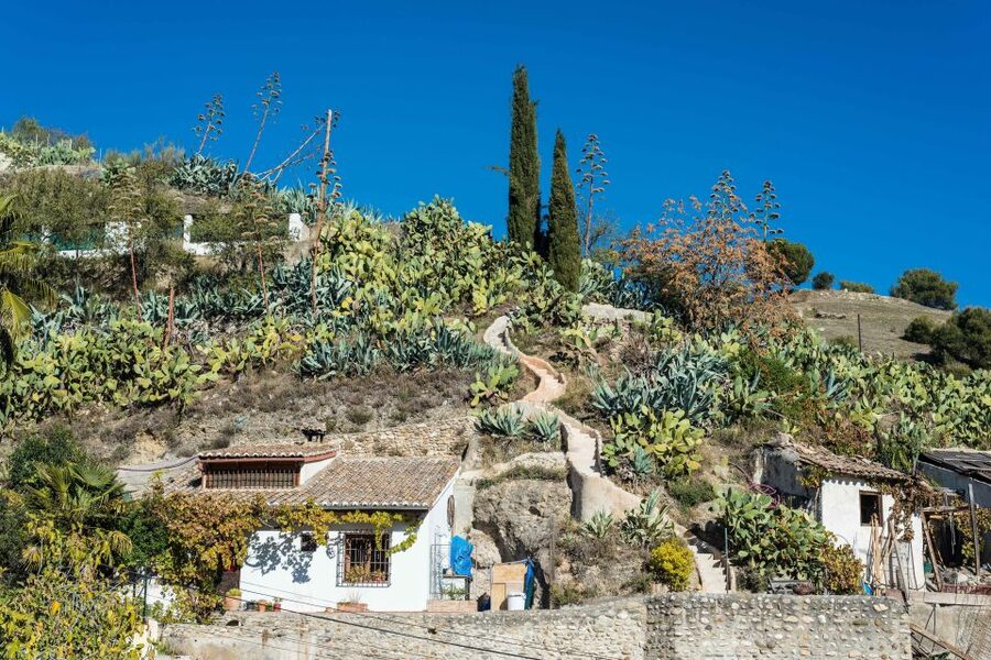 Sacromonte Caves Museum Admission Ticket - The garden’s view of the Alhambra