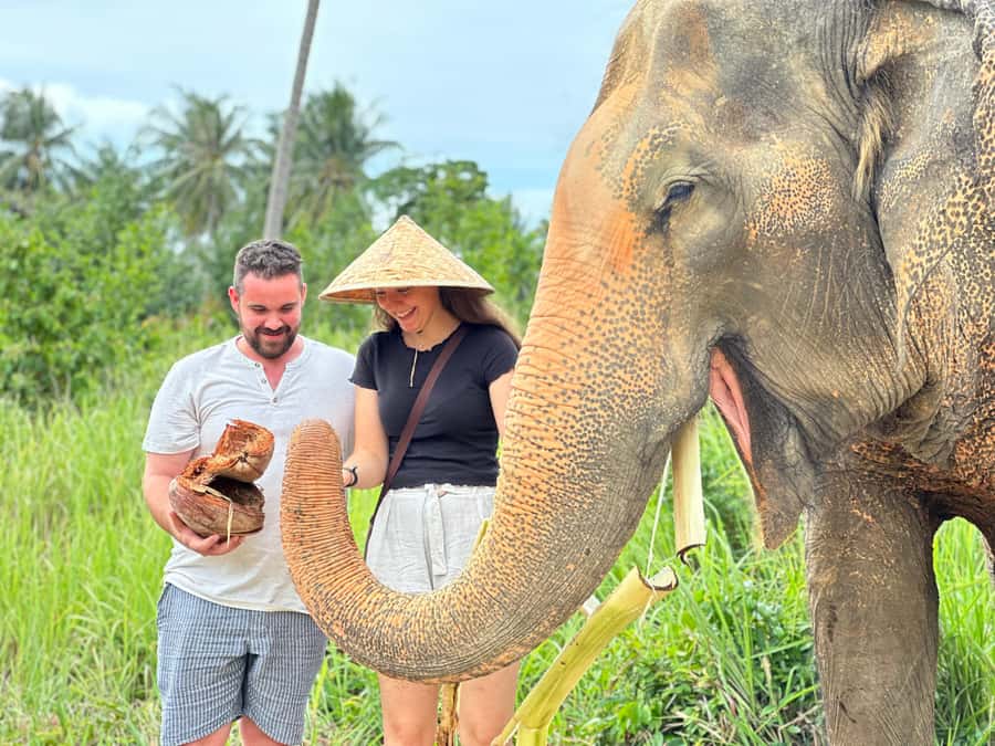 Samui:Elephant Jungle experience & The First Elephant Museum - A thoughtful alternative to elephant entertainment
