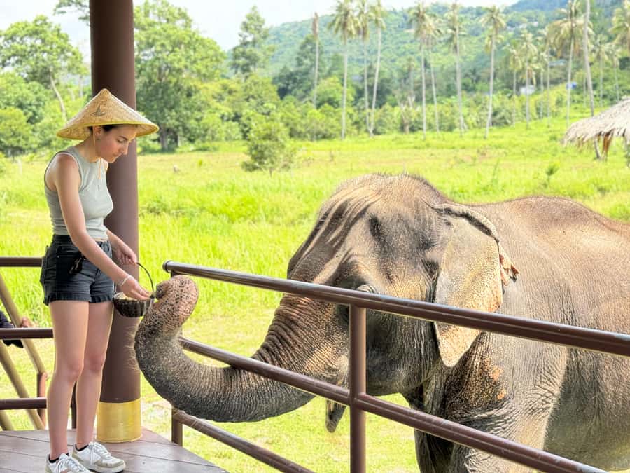 Samui:Elephant Jungle experience & The First Elephant Museum - Walking into the jungle with the elephants