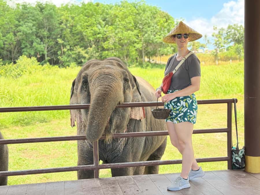 Samui:Elephant Jungle experience & The First Elephant Museum - What the three-hour schedule feels like
