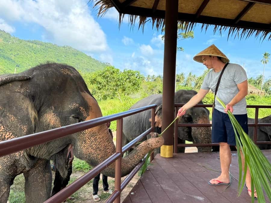 Samui:Elephant Jungle experience & The First Elephant Museum - Who should book this Samui experience?