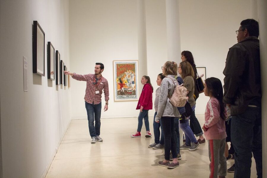 San Antonio: San Antonio Museum of Art Entry Ticket - Key points to know