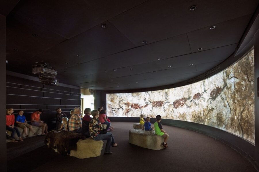 San Antonio: Witte Museum Admission Ticket - Key points to know before you go