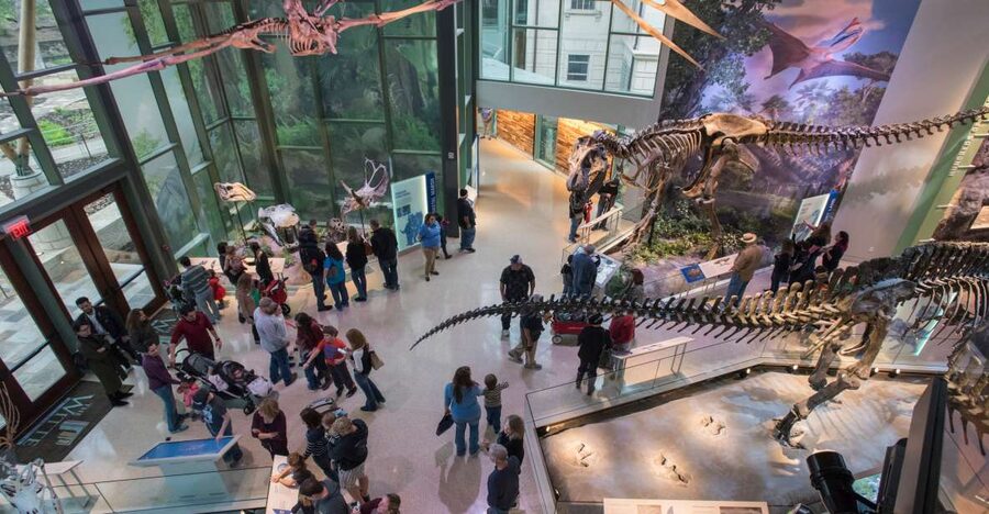 San Antonio: Witte Museum Admission Ticket - Start beneath the Cretaceous sky