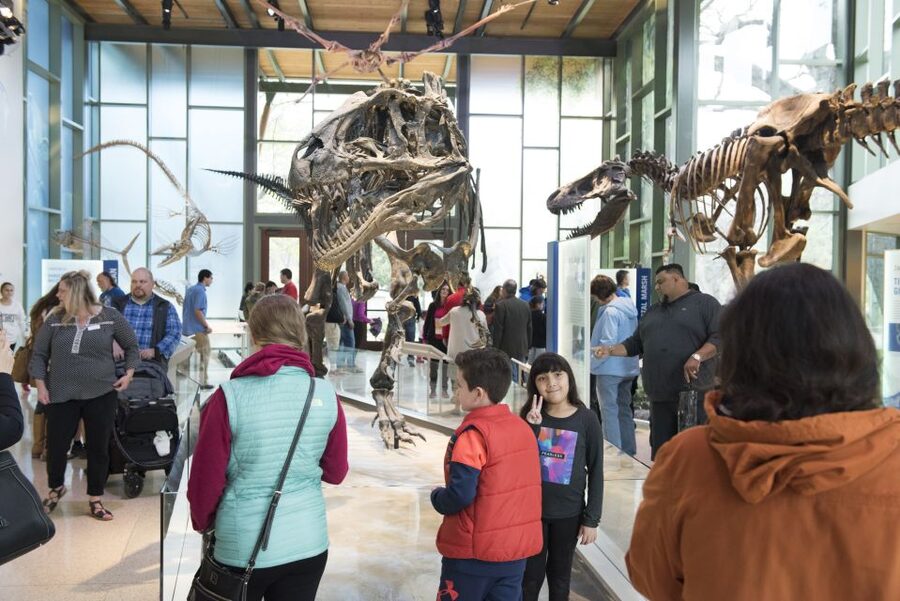 San Antonio: Witte Museum Admission Ticket - Meet more than 150 Texas animals