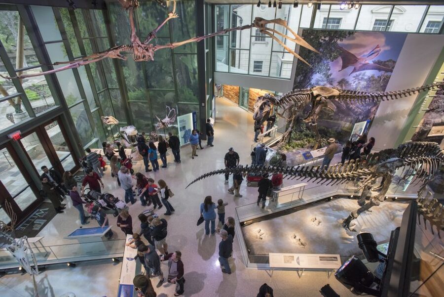 San Antonio: Witte Museum Admission Ticket - Let children move at the H-E-B Body Adventure