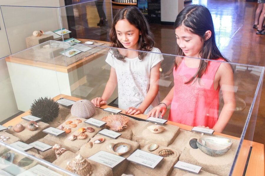 San Diego: San Diego Natural History Museum Ticket - Living Lab brings the animals close