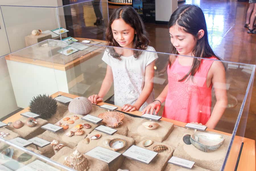 San Diego: San Diego Natural History Museum Ticket - Archives, storage, and the people behind science