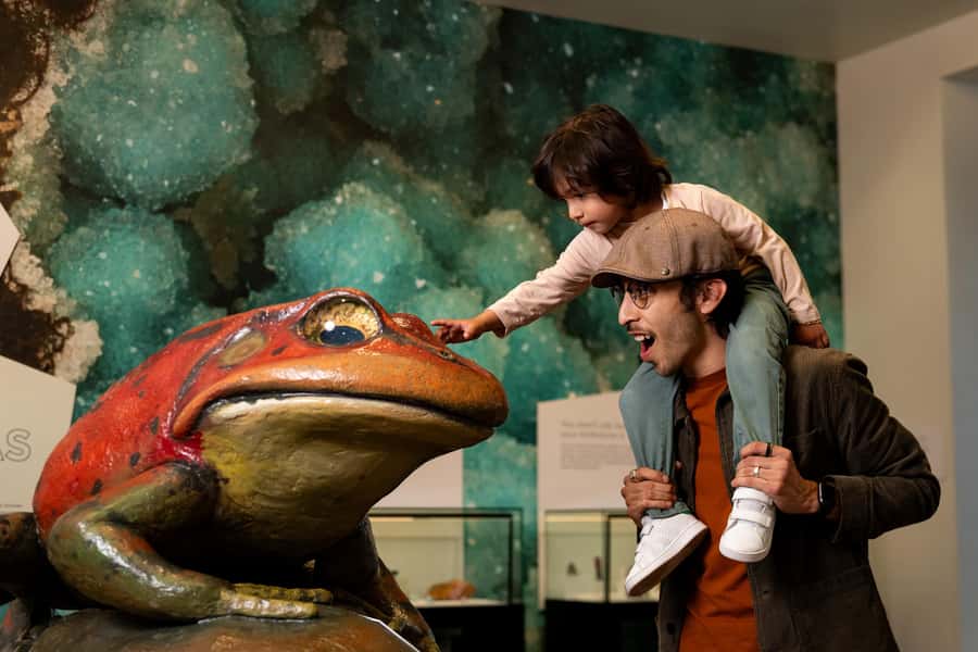San Diego: San Diego Natural History Museum Ticket - Fossil Mysteries and Southern California’s ancient past