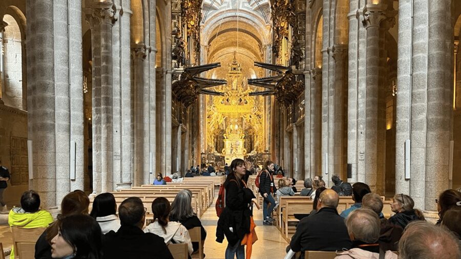 Santiago: Cathedral & Museum Tour + Pórtico of Glory Option - Guide quality and group experience