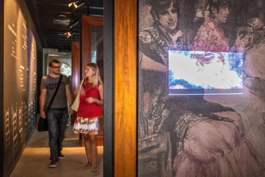 Seville: Museum of Flamenco Dance Admission Ticket - What you see during the one-hour visit