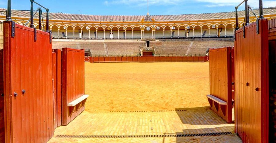 Seville: Plaza de Toros and Museum Guided Tour in Spanish - The Bullfight Museum puts the arena in context