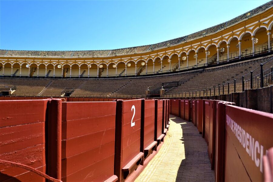 Seville: Plaza de Toros and Museum Guided Tour in Spanish - Walking through the Patio de Caballos