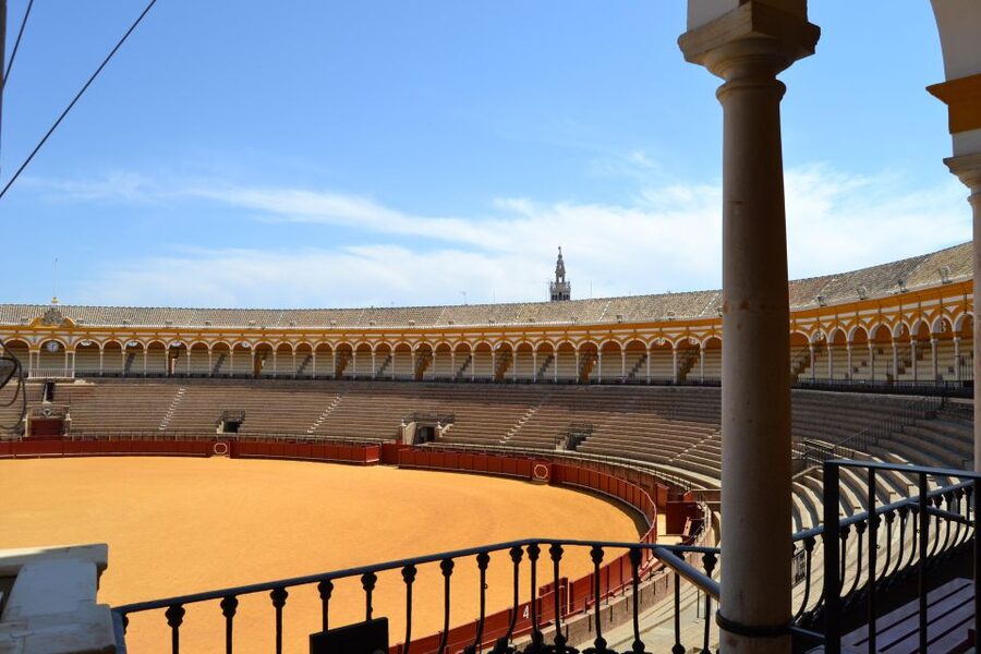 Seville: Plaza de Toros and Museum Guided Tour in Spanish - The $33 price and what it covers