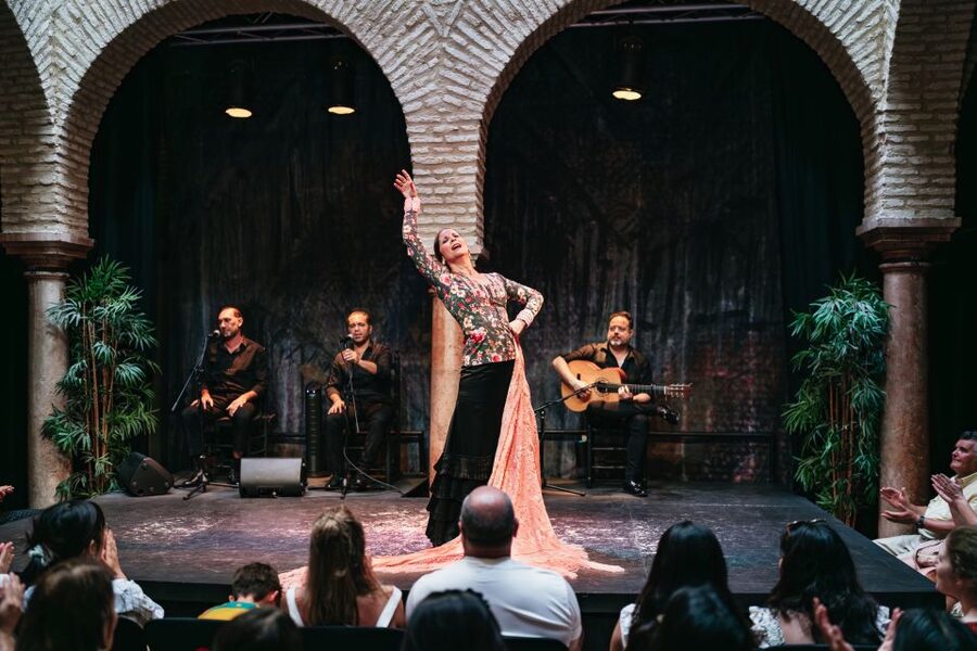 Seville: Puro Flamenco Show with Optional Museum Ticket - Key points to know before booking