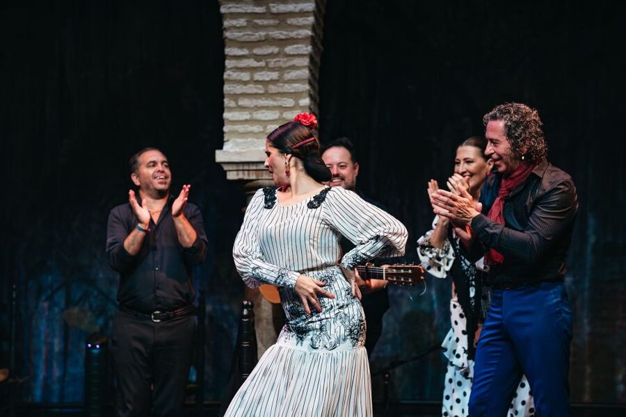 Seville: Puro Flamenco Show with Optional Museum Ticket - Adding the Flamenco Dance Museum