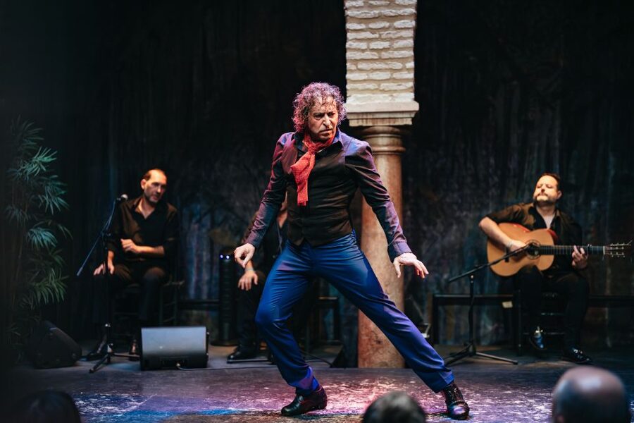 Seville: Puro Flamenco Show with Optional Museum Ticket - How authentic is the performance?