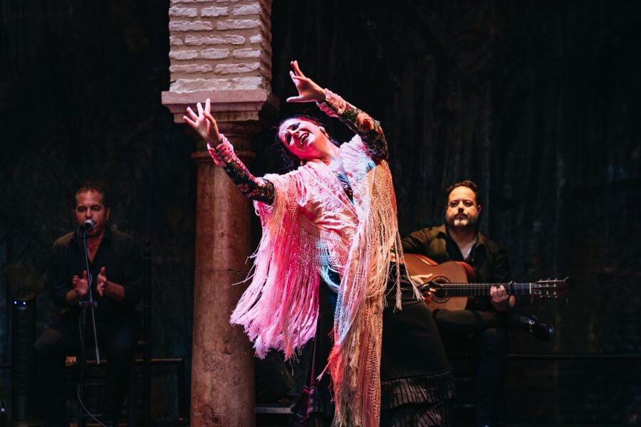 Seville: Puro Flamenco Show with Optional Museum Ticket - Value at $34 per person