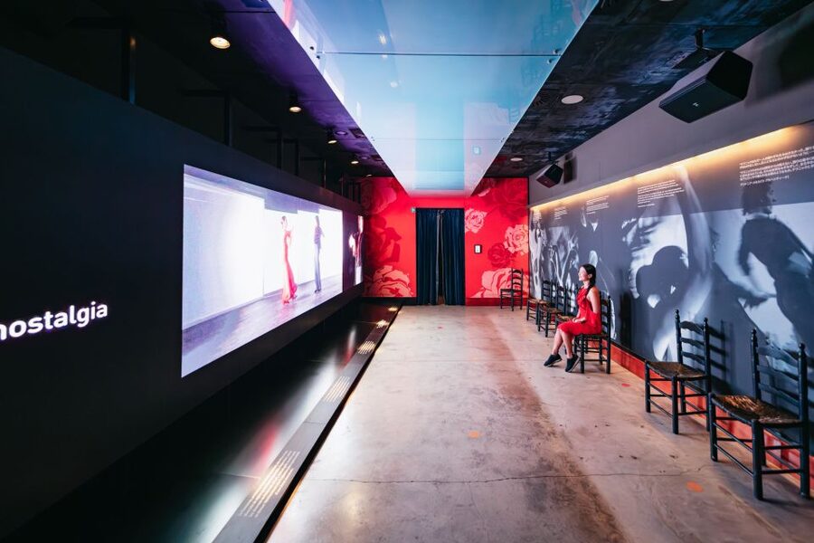 Seville: Puro Flamenco Show with Optional Museum Ticket - Who should book this experience?