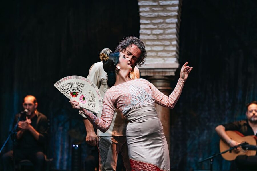 Seville: Puro Flamenco Show with Optional Museum Ticket - What happens during the one-hour performance