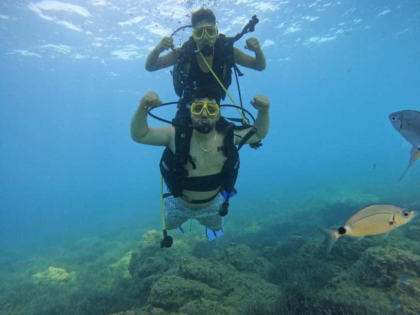 Side: Scuba Diving & Under Water Museum with Hotel Transfer - Between sessions, lunch and open-water time