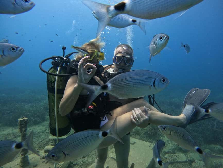 Side: Scuba Diving & Under Water Museum with Hotel Transfer - How much value you get for $40