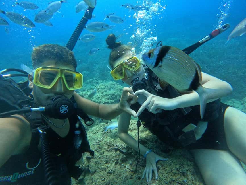 Side: Scuba Diving & Under Water Museum with Hotel Transfer - Should you book it?