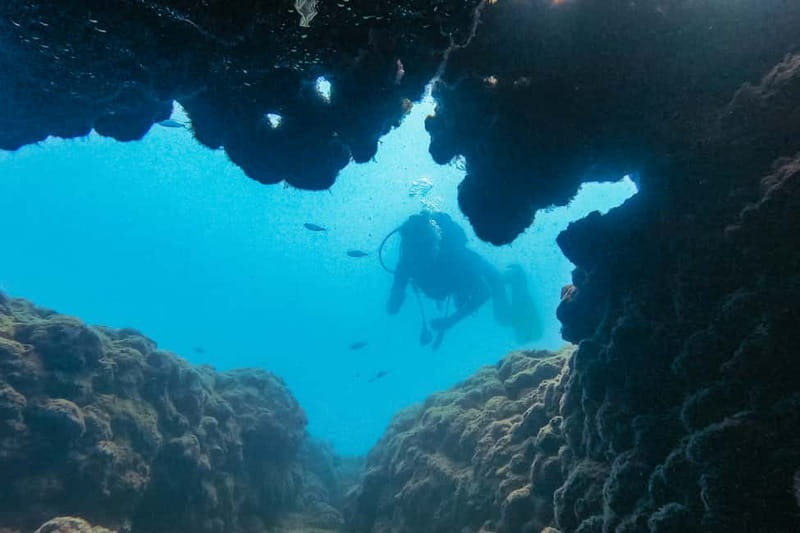 Side: Scuba Diving, Underwater Museum, 2 Dives incl. Lunch - Your first underwater session