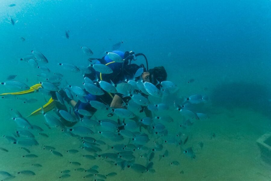 Side: Scuba Diving, Underwater Museum, 2 Dives incl. Lunch - Lunch while the boat moves to stop two