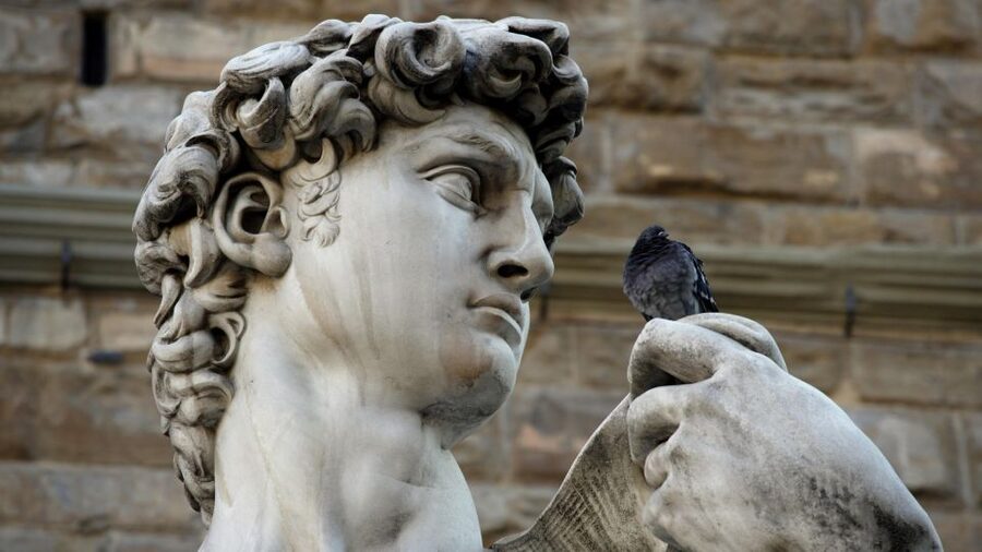 Skip the line: Accademia Gallery small group tour - Why David deserves more than a quick photograph