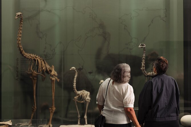 Skip the Line: Auckland Museum General Admission Ticket - Natural History and New Zealand’s Volcanic Story