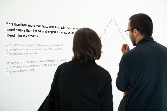 Skip the Line: Barcelona MACBA Museum of Contemporary Art Admission Ticket - MACBA’s 50th Abstraction and What Comes Next