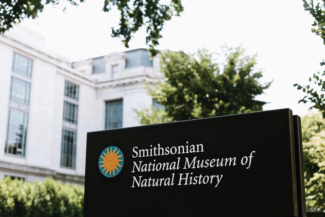 Smithsonian Museum of Natural History - Exclusive Guided Tour - Mammals, Henry the elephant, and familiar animals at huge scale