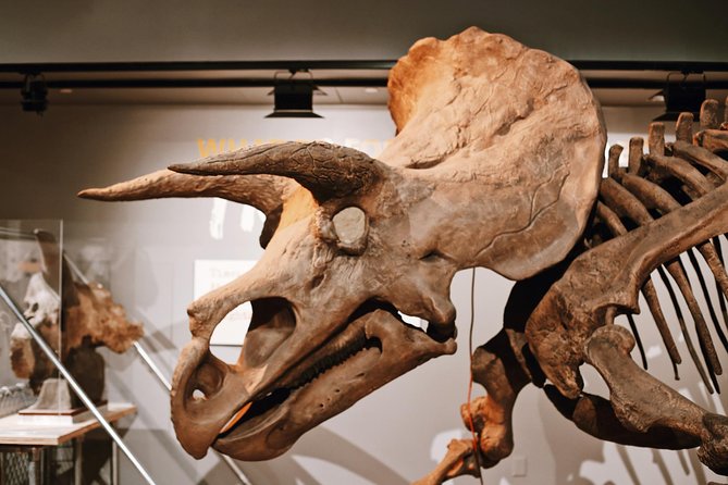 Smithsonian Museum of Natural History - Exclusive Guided Tour - Ocean Hall, living coral, and Phoenix the whale