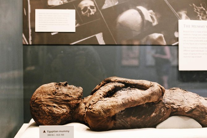 Smithsonian Museum of Natural History - Exclusive Guided Tour - The guides make the biggest difference