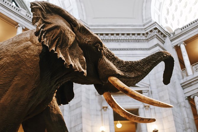 Smithsonian Museum of Natural History - Exclusive Guided Tour - Is $89.67 a fair price?