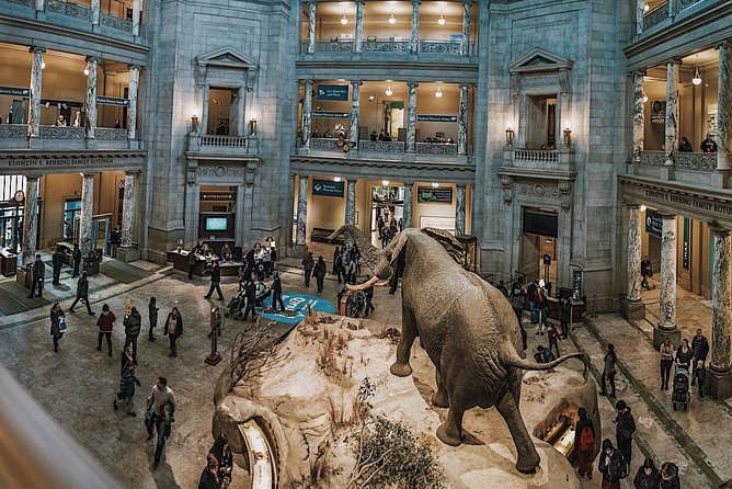 Smithsonian Museum of Natural History - Exclusive Guided Tour - Ancient Egypt, mummies, and the meaning of preservation