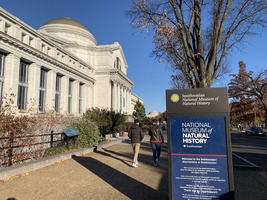 Smithsonian National Museum of Natural History Guided Tour - Key points to know before booking