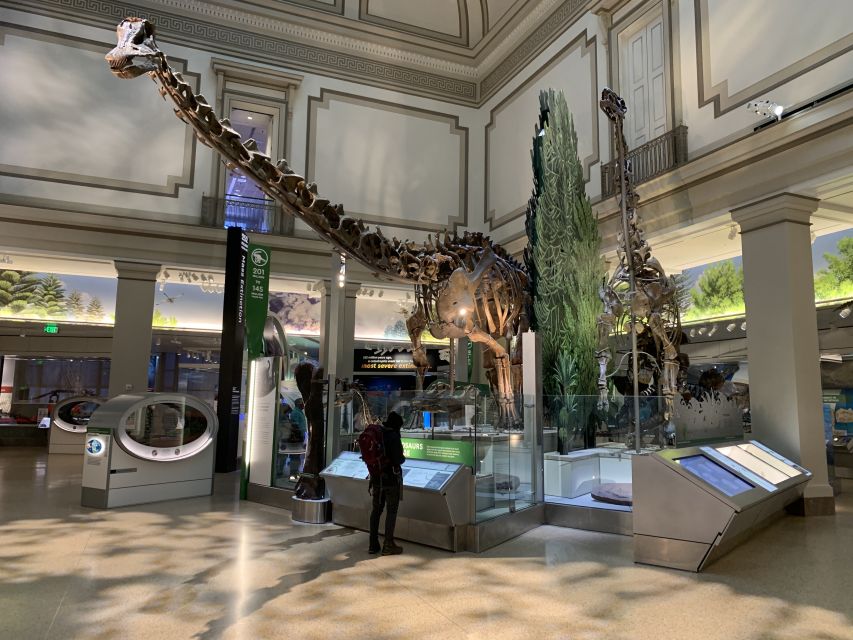 Smithsonian National Museum of Natural History Guided Tour - Who should book this tour?